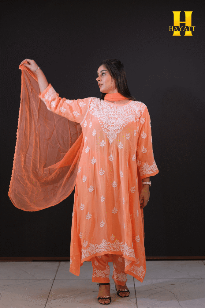 Lucknowi chickankari suit-HBG 2074 - Image 4