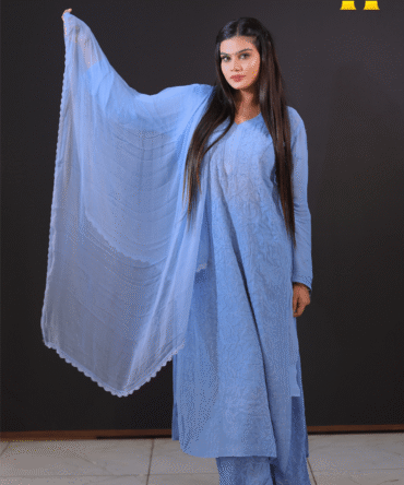 Lucknowi Chickankari suit-HBG 2045