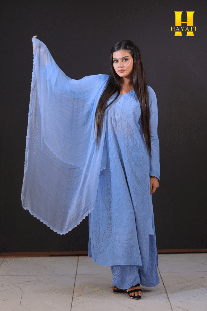 Lucknowi Chickankari suit-HBG 2045