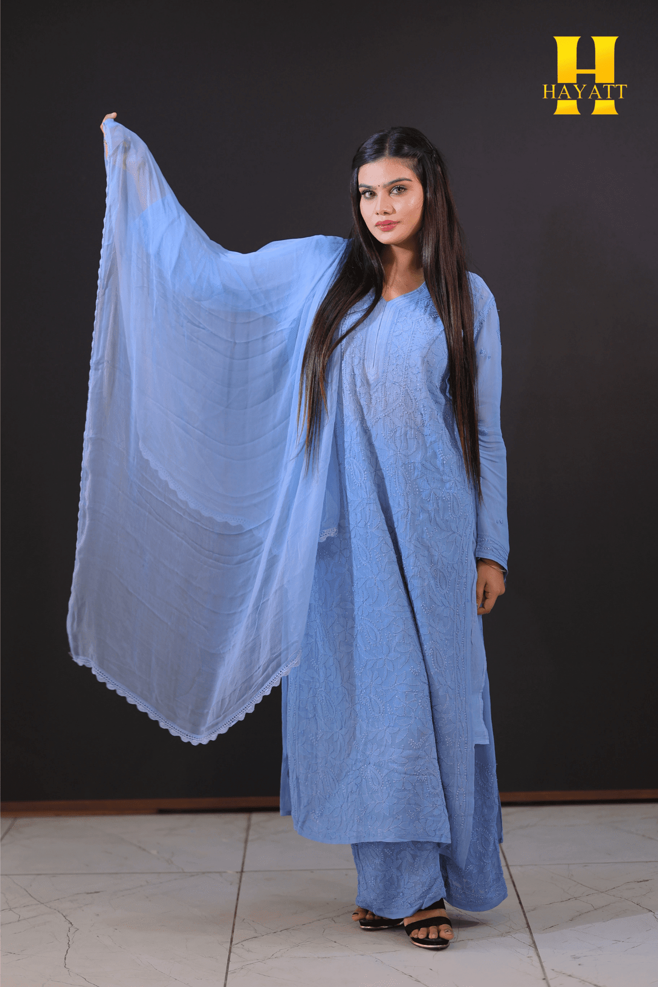 Lucknowi Chickankari suit-HBG 2045