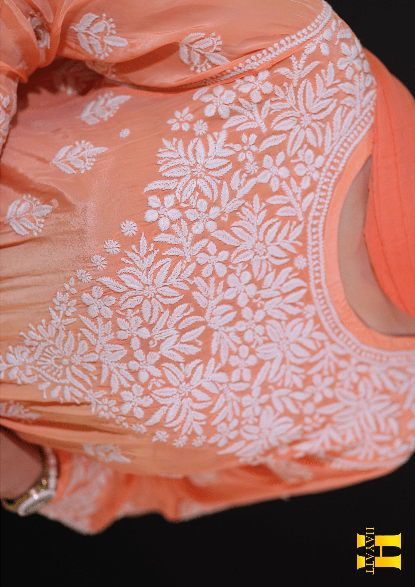 Lucknowi chickankari suit-HBG 2074 - Image 2